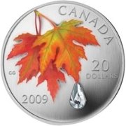 () Монета Канада 2009 год 20 долларов ""   PROOF