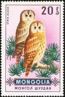 (1970-023) Марка Монголия "Серая Неясыть "    Хищные птицы II Θ