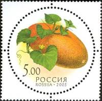 2003-066 Марка Россия Дыня  Дары природы III O