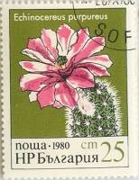 (1980-094) Марка Болгария "Эхиноцереус"   Кактусы III O