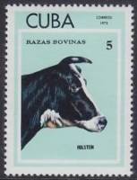 (1973-045) Марка Куба "Гольштейн"    Крупный рогатый скот II Θ