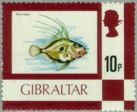 (1977-)Жетон Гибралтар ""     Definitives 1977-1982 III не использовать Θ