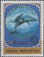 (1980-067) Марка Монголия "Синий кит"    Антарктические животные III Θ