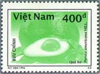 (№1997-2821) Марка из набора Вьетнам 1997 год "Авокадо Персея Американа мельница", Гашеная