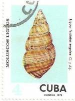 (1973-083) Марка Куба "Анджела"    Раковины молюсков III Θ