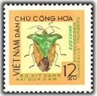 (1965-036) Марка Вьетнам "Зеленый вонючий жук"   Насекомые III Θ
