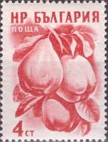 (1956-004) Марка Болгария "Айва"   Фрукты (1) II Θ