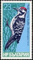 (1978-062) Марка Болгария "Малый пёстрый дятел"   Дятлы II O