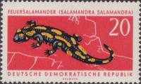 (1963-047) Марка Германия (ГДР) "Саламандра"    Охраняемые животные III Θ