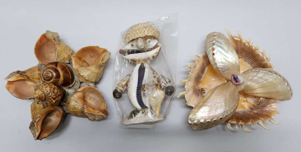 Набор сувениров фигурок из крупных морских раковин 3 шт 
