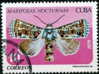 (1979-038) Марка Куба "Мотылек гетерохромия"    Бабочки III Θ