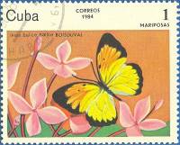 (1984-006) Марка Куба "Белая бабочка"    Бабочки II Θ