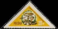 (1959-008) Марка Польша "Бледная поганка"   Грибы II Θ