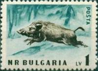 (1958-016) Марка Болгария "Кабан" Перф лин 11   Дикие животные Болгарии II Θ