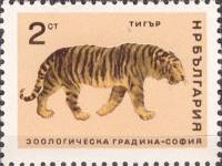 (1966-030) Марка Болгария "Тигр"   Софийский зоопарк II Θ