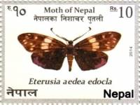 (№2014-1159) Марка Непал 2014 год "Eterusia aedea", Гашеная