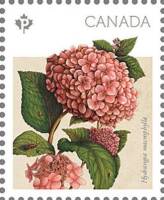 (№2016-3344) Марка из набора Канада 2016 год "Гортензия крупнолистная", Гашеная