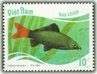 (1988-012) Марка Вьетнам "Двухцветный лабео"    Тропические рыбы III Θ