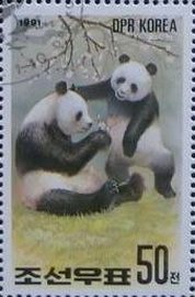 (1991-005) Марка Северная Корея "Большая панда (5)"   Выставка ФИЛАНИППОН-91, Токио III &Theta;