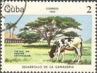 (1984-065) Марка Куба "Крупный рогатый скот"    Развитие животноводства III Θ