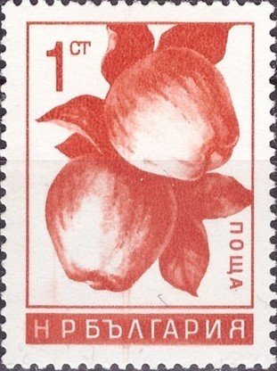 (1965-042) Марка Болгария "Яблоки"   Фрукты II &Theta;