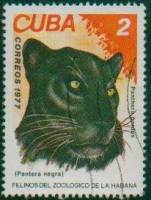 (1977-070) Марка Куба "Пантера "    Зоопарк в Гаване III Θ