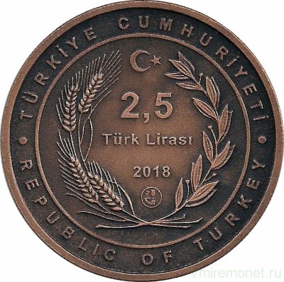 (2018) Монета Турция 2018 год 2 1/2 лиры &quot;Ходжа Насреддин (Не пили сук, на котором сидишь)&quot;  Бронза 
