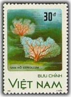 (1987-076) Марка Вьетнам "Караллума"    Кораллы III Θ