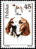 (1989-013) Марка Польша "Пойнтер"    Собаки III Θ