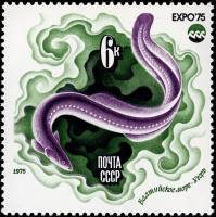 1975-055 Марка СССР Угорь  Всемирная выставка ЭКСПО-75. Море и его будущее III O