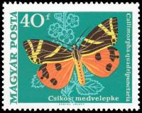 (1969-025) Марка Венгрия "Медведица четырёхточечная"    Бабочки II Θ