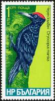 (1978-058) Марка Болгария "Желна"   Дятлы III Θ