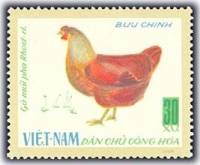 (1968-006) Марка Вьетнам "Красная курица"   Домашние птицы III Θ