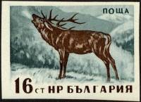 (1958-013a) Марка Болгария "Олень" Без перфорации   Дикие животные Болгарии III Θ