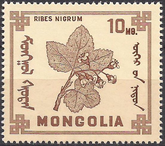 (1968-010) Марка Монголия "Черная смородина "    Ягоды II &Theta;