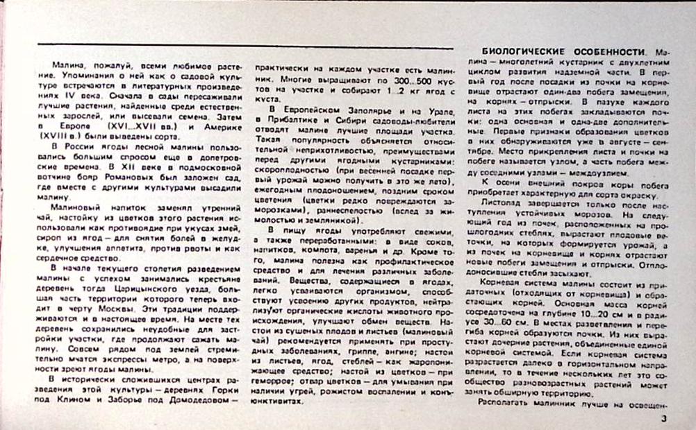 Книга Малина 1991 Е. Ярославцев Москва Мягкая обл. 42 с. С цв илл
