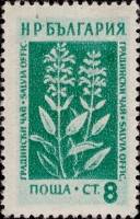 (1953-035) Марка Болгария "Шалфей"   Лекарственные растения Болгарии (1) I Θ