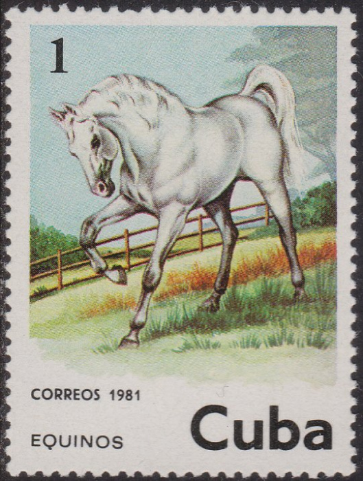 (1981-056) Марка Куба &quot;Лошадь белая&quot;    Лошади III Θ