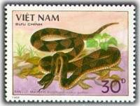 (1989-046) Марка Вьетнам "Остроносая гадюка"    Ядовитые змеи III Θ