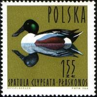 (1964-039) Марка Польша "Широконоска"   Водоплавающие птицы II Θ