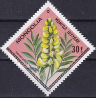 (1979-018) Марка Монголия "Софора обыкновенная"    Цветы III O