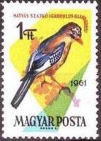 (1961-097) Марка Венгрия "Сойка"    Певчие птицы II Θ
