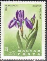 (1967-007) Марка Венгрия "Ирис" ,  III O