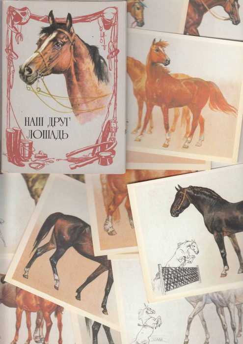 Набор открыток &quot;Наш друг лошадь&quot;, 16 шт., 1987 г.