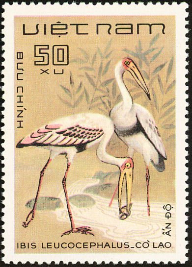 (1983-108a) Марка Вьетнам "Индийский клювач"  Без перфорации  Птицы III &Theta;