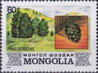 (1982-042) Марка Монголия "Сосна обыкновенная "    Флора Монголии III Θ