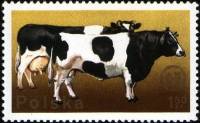 (1975-028) Марка Польша "Крупный рогатый скот"    20-й конгресс Европейской зоотехнической Федерации