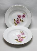 Тарелки Kahla ГДР суповые 2 штуки 