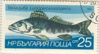 (1983-006) Марка Болгария "Судак"   Пресноводная рыба III Θ