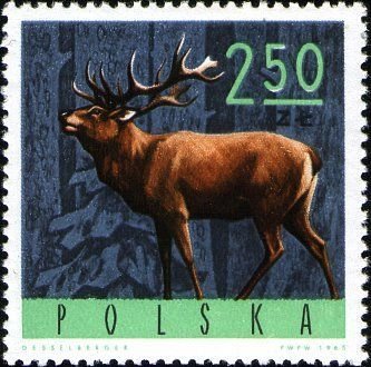 (1965-080) Марка Польша &quot;Благородный олень&quot;   Животные I Θ